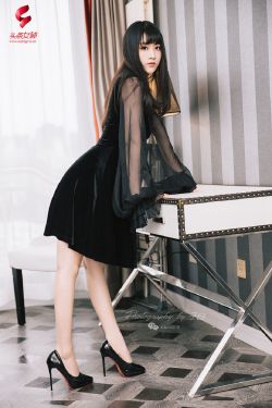 妈妈和女婿免费播放电视剧大全